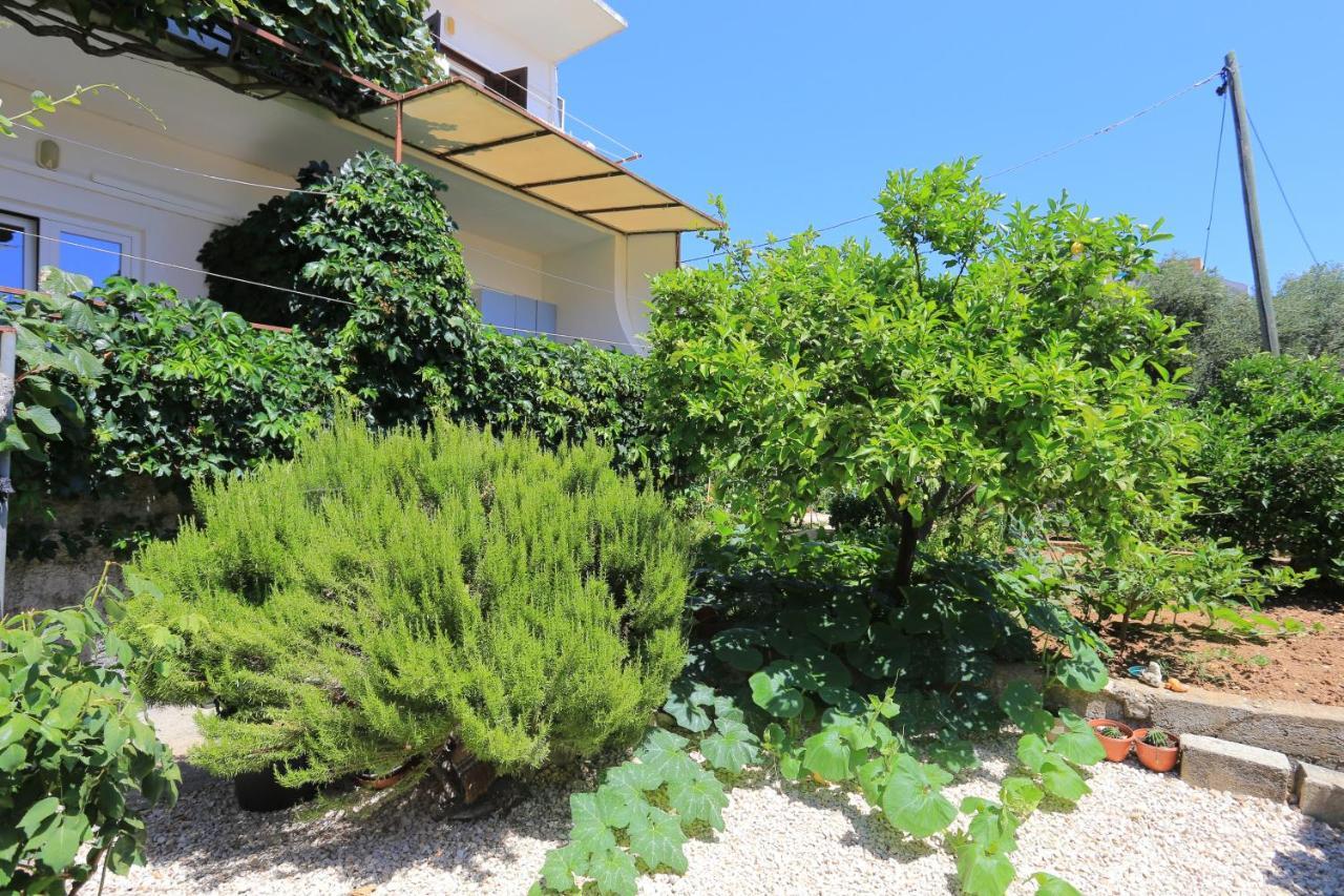 Apartment Zivogosce - Blato 1057D Zewnętrze zdjęcie